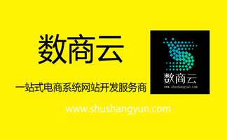 数商云 b2b电子商务系统平台建设开发,必要的准备有哪些