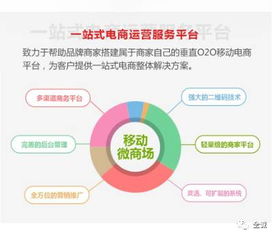 电商saas 运营是不可比拟的优势