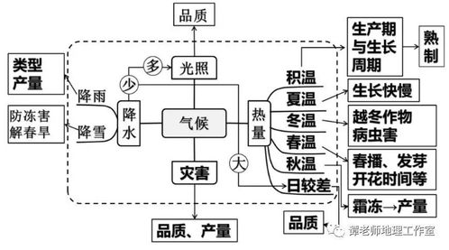 高中地理农业区位条件及其影响 我国农业地理地图 世界主要农业地域类型知识详解,附农业生产与乡村发展
