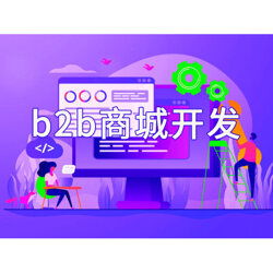 安徽b2b商城系统开发技术