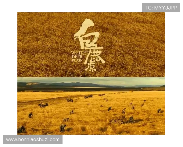 白鹿原:从1个女人到5个家族,看尽人性的10大黑暗面 白鹿原:从1个女人到5个家族,看尽人性的10大黑暗面