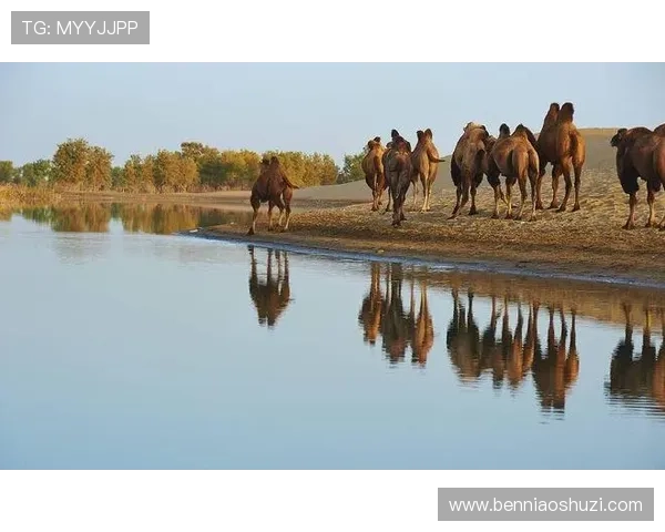 当时间之河涌向未来：选择，定义我们的无限可能